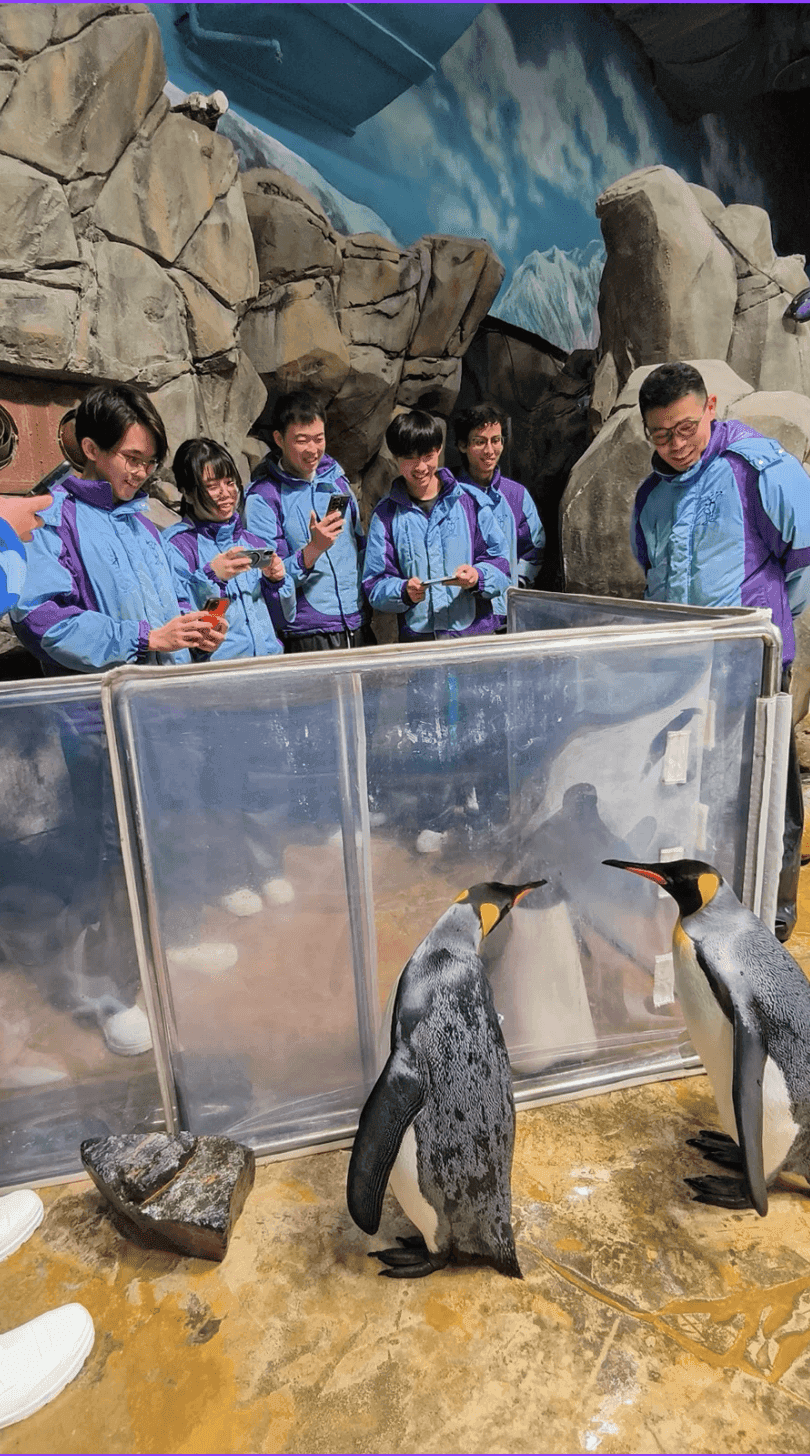 Ocean Park keepers watching PANGUAN meet two king penguins